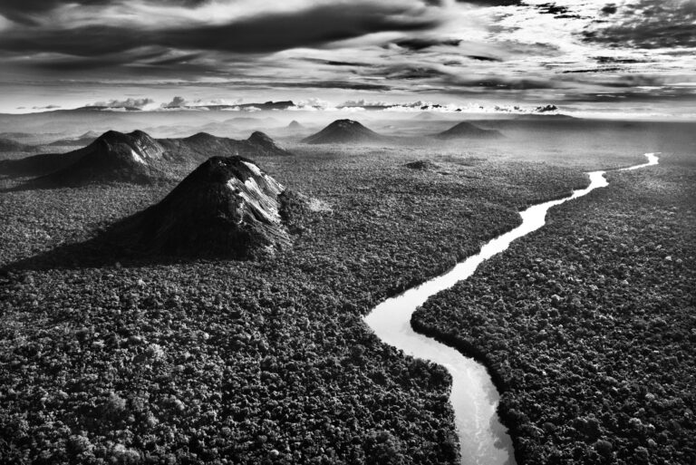 Amazonia / Sebastião Salgado