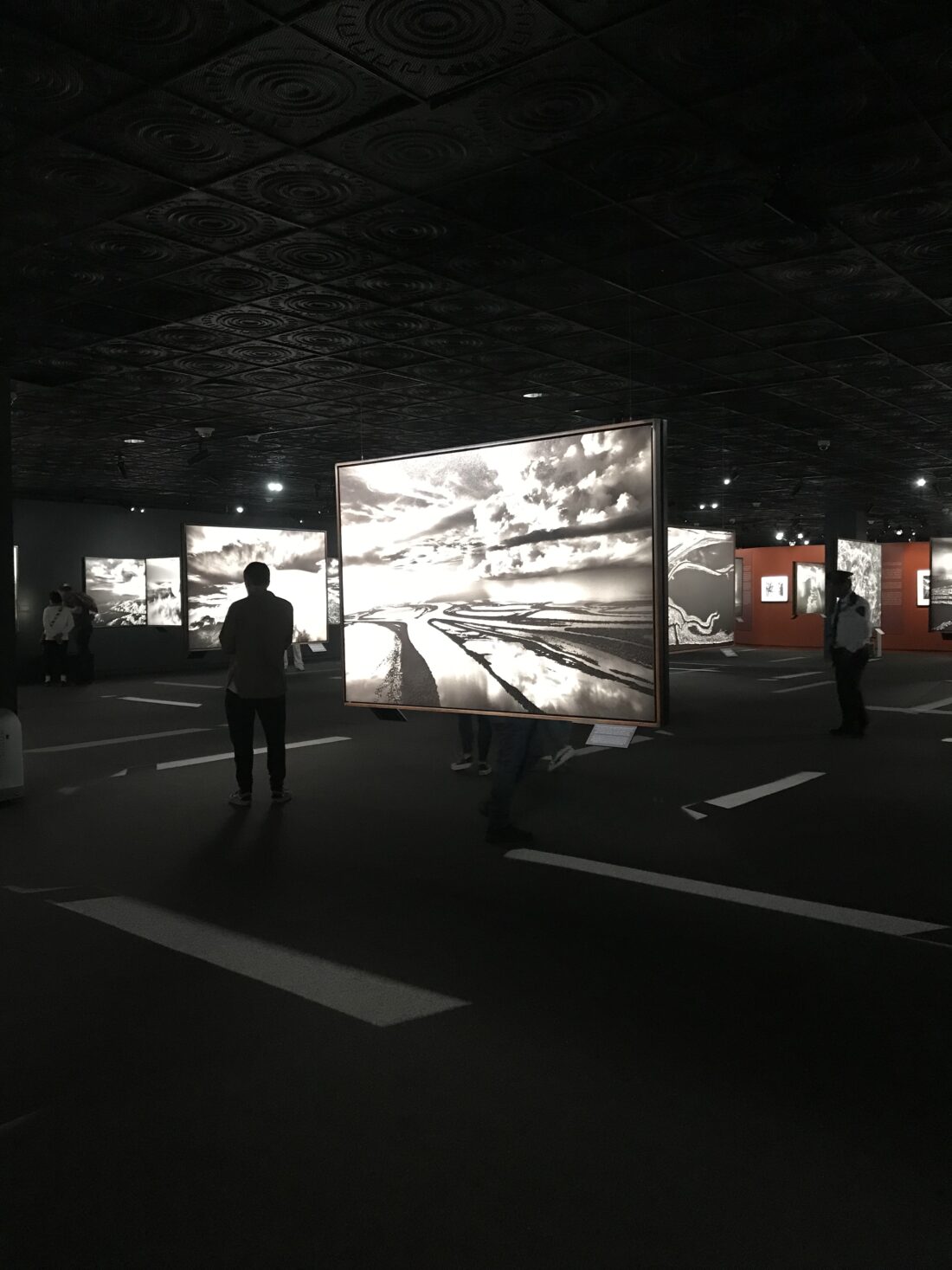 Amazonia / Sebastião Salgado