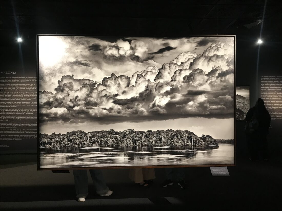 Amazonia / Sebastião Salgado