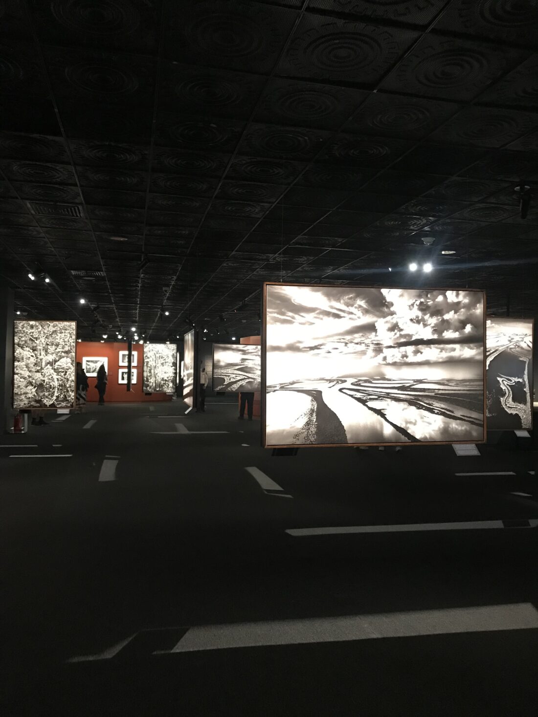 Amazonia / Sebastião Salgado