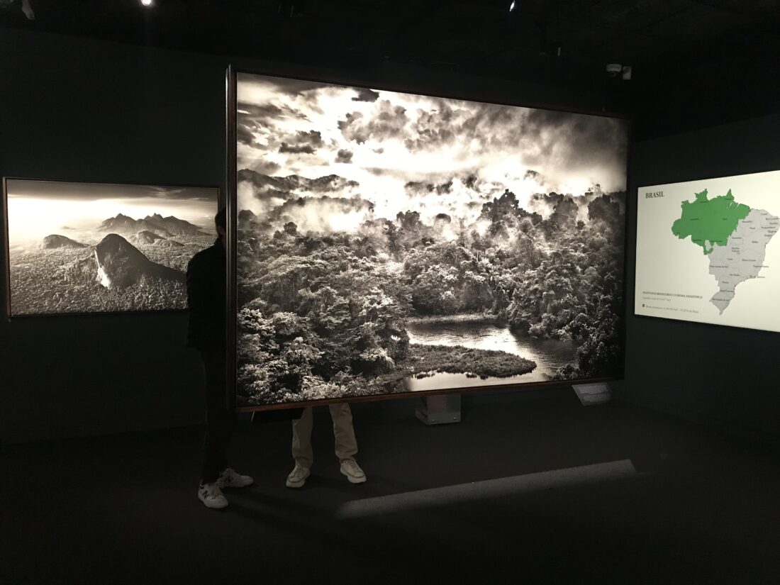 Amazonia / Sebastião Salgado