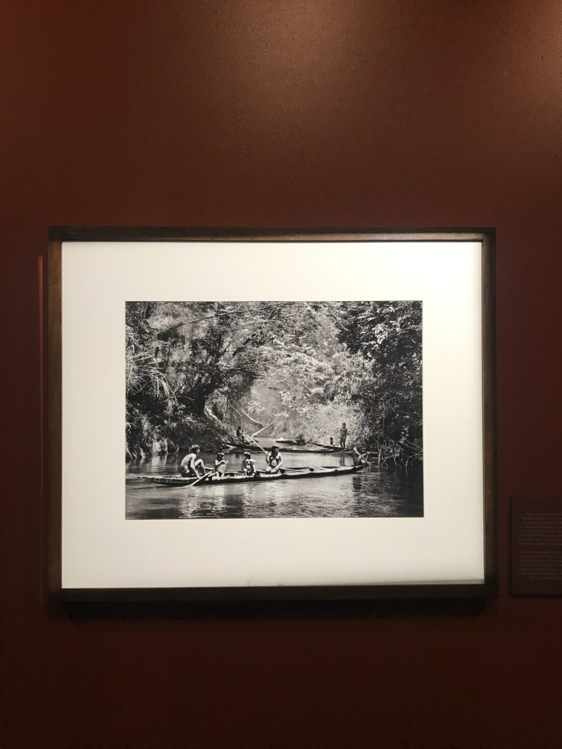 Amazonia / Sebastião Salgado
