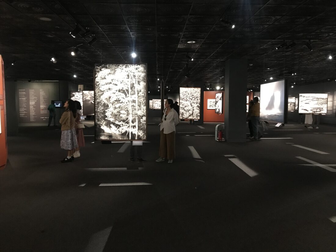 Amazonia / Sebastião Salgado