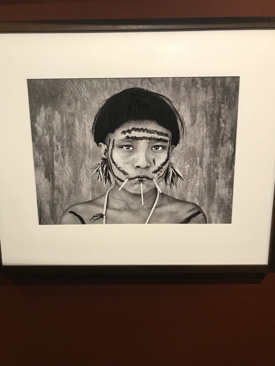 Amazonia / Sebastião Salgado