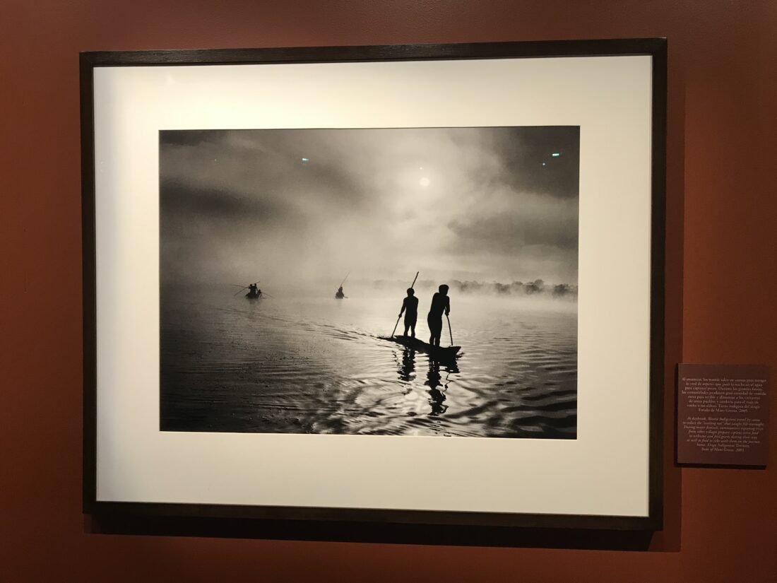 Amazonia / Sebastião Salgado