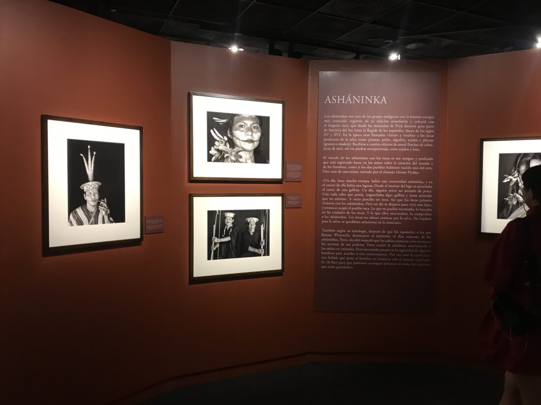 Amazonia / Sebastião Salgado