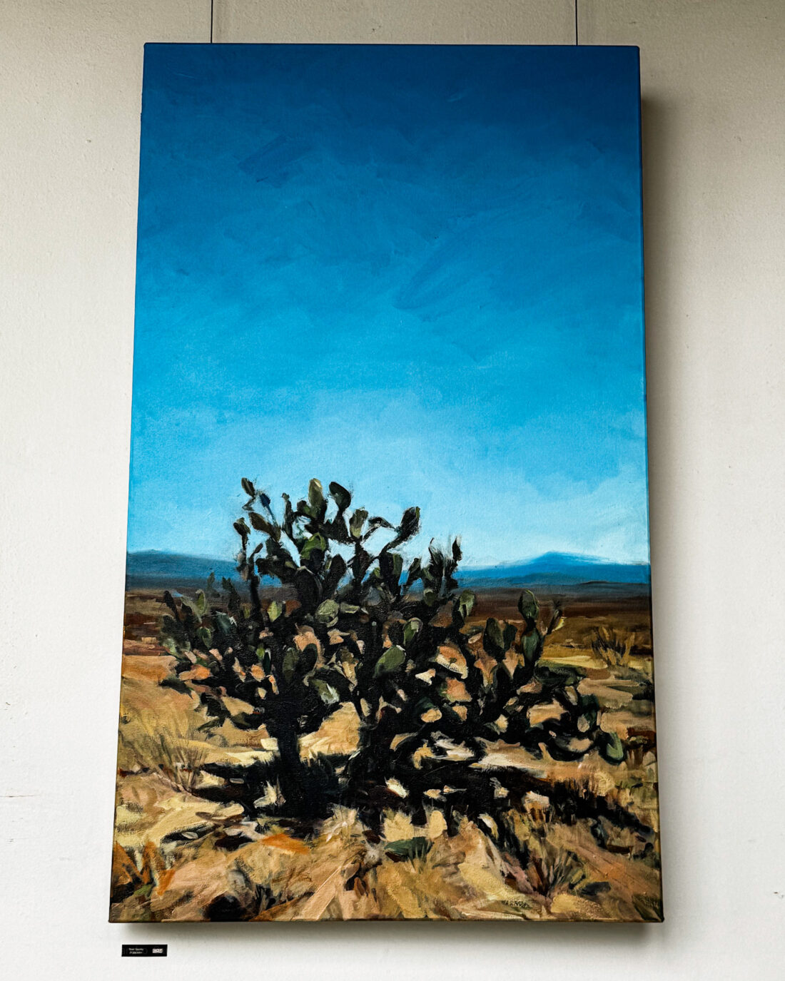 Paisaje contemporáneo de Antonio Chaurand durante Superficies de Identidad en Galería EXU San Ángel, Ciudad de México
