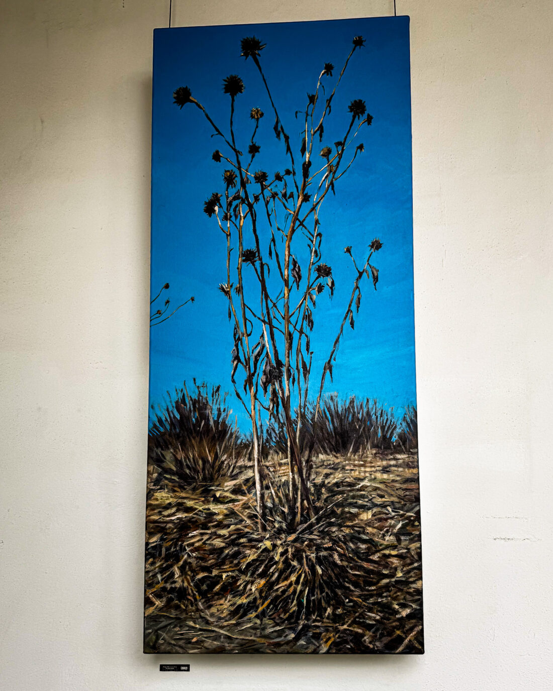 Paisaje desértico de Antonio Chaurand en Superficies de Identidad, Galería EXU, San Ángel, CDMX