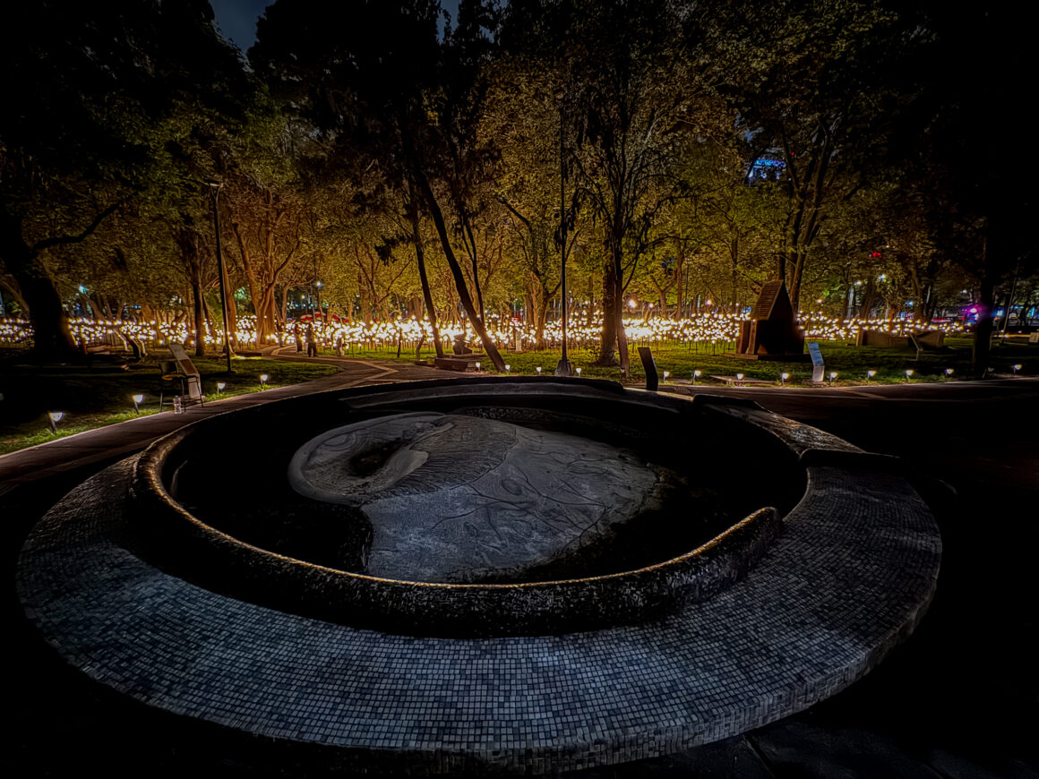 Instalación lumínica nocturna de Rafael Lozano-Hemmer en Bosque Inconcluso dentro del Museo de Arte Moderno de Chapultepec en Ciudad de México