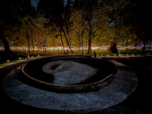 Instalación lumínica nocturna de Rafael Lozano-Hemmer en Bosque Inconcluso dentro del Museo de Arte Moderno de Chapultepec en Ciudad de México
