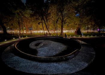 Instalación lumínica nocturna de Rafael Lozano-Hemmer en Bosque Inconcluso dentro del Museo de Arte Moderno de Chapultepec en Ciudad de México