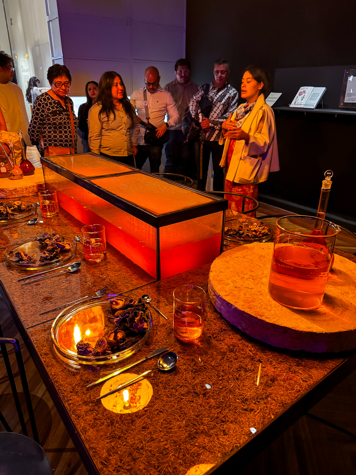Taina Campos explica la sección Funga de BioDiseño MX en el Museo Franz Mayer.
