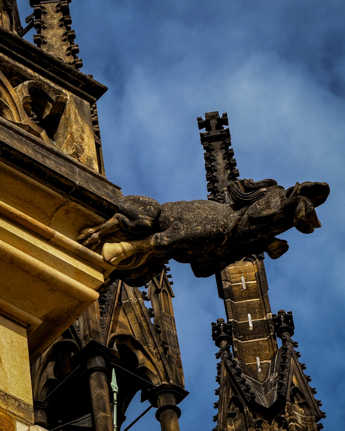 Gárgola medieval de la Catedral de San Vito en Praga al atardecer
