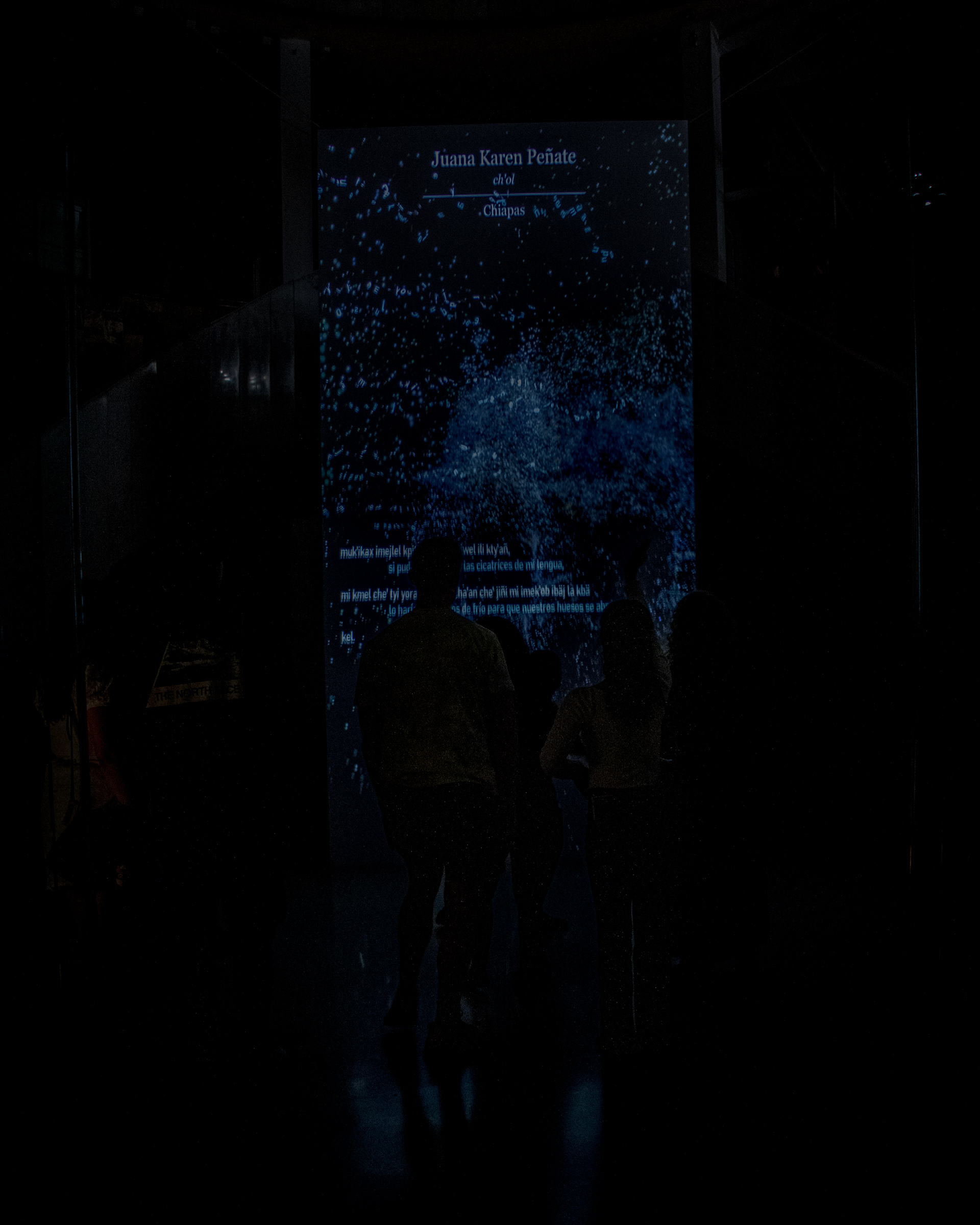 Visitantes observando una proyección digital inmersiva de Rafael Lozano-Hemmer en Bosque Inconcluso dentro del Museo de Arte Moderno