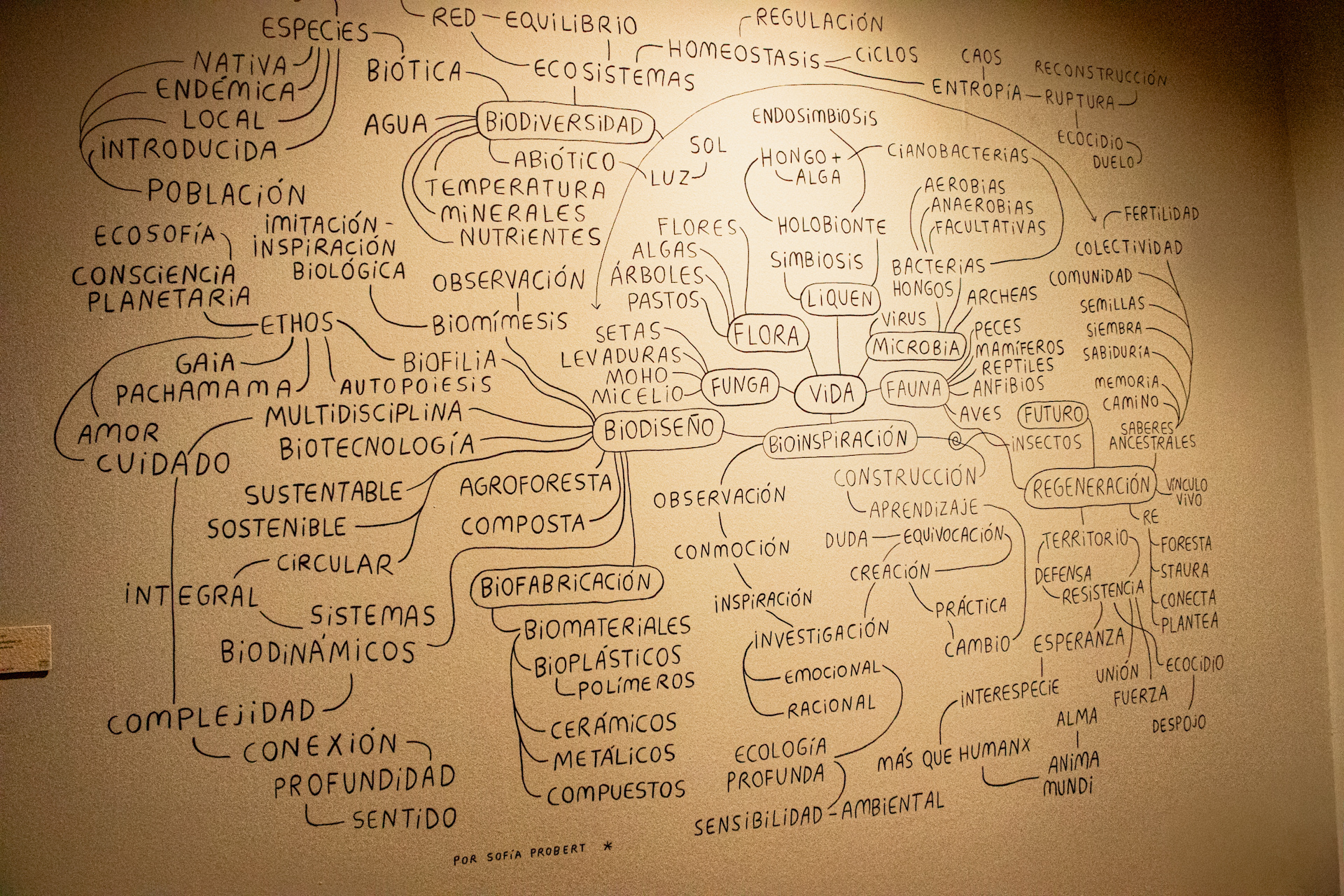 Mural conceptual de Sofía Probert para la exposición BioDiseño MX en el Museo Franz Mayer, que conecta biodiversidad, bioinspiración, biomateriales y sostenibilidad.