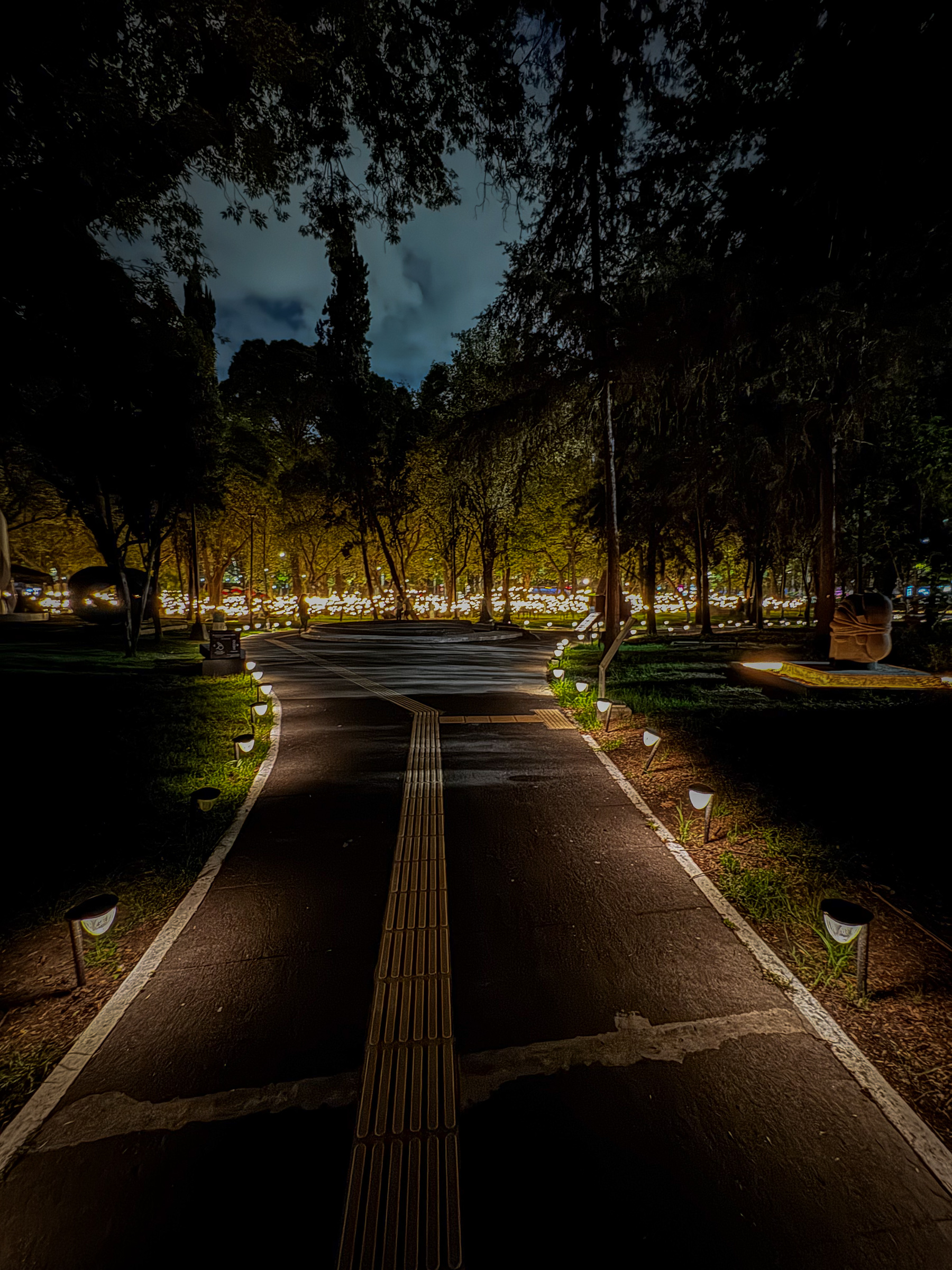 Sendero nocturno iluminado en Bosque Inconcluso de Rafael Lozano-Hemmer en el Museo de Arte Moderno de Chapultepec