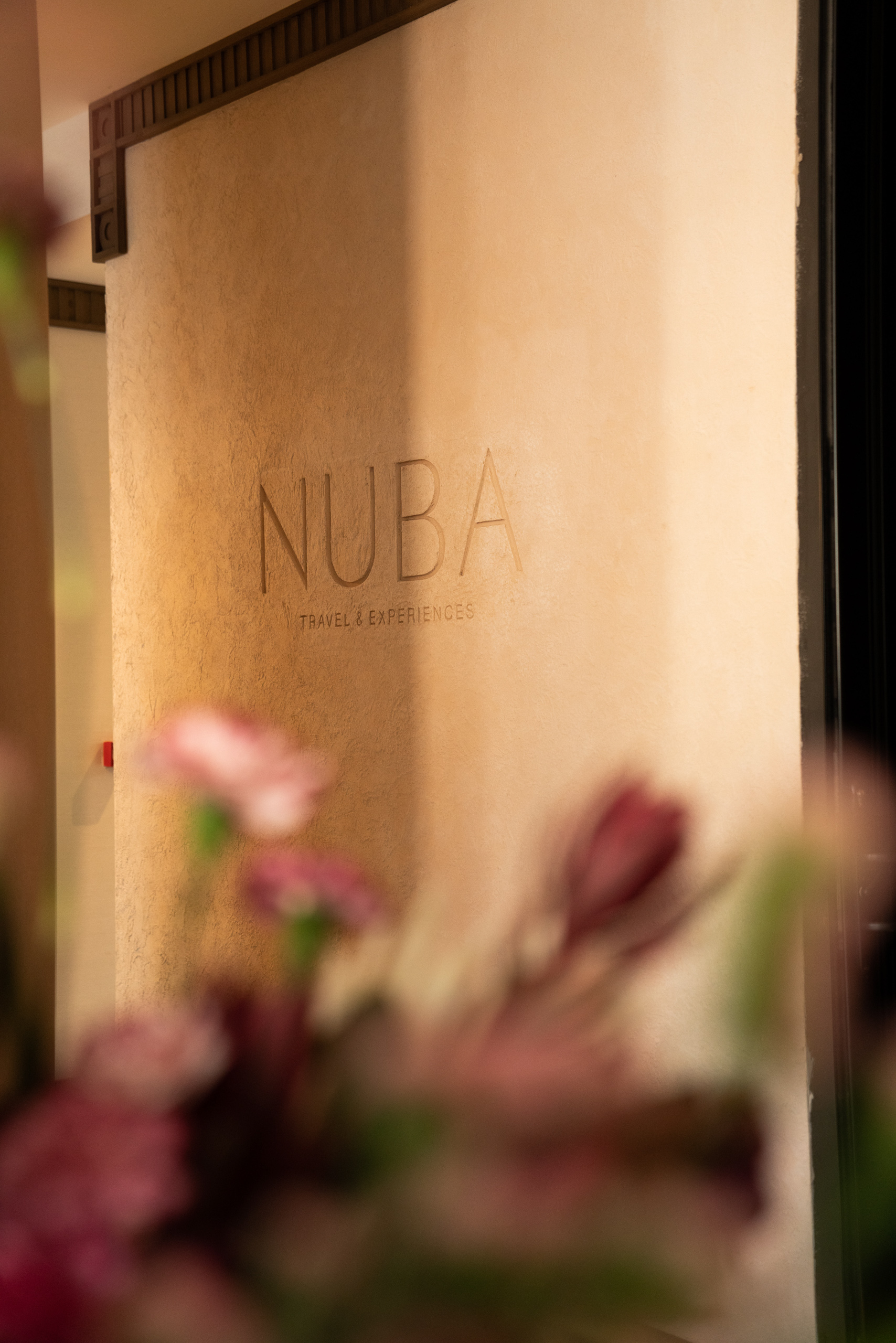 Logotipo de NUBA durante la experiencia Anatomy of Discovery presentada en Monterrey