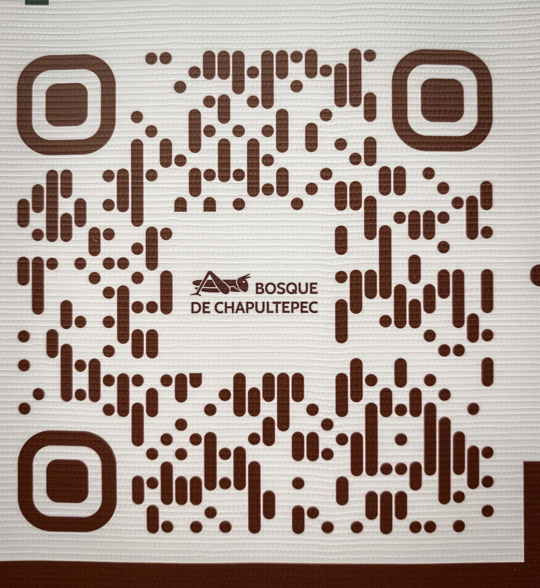 Código QR para descargar la aplicación Bosque de Chapultepec.