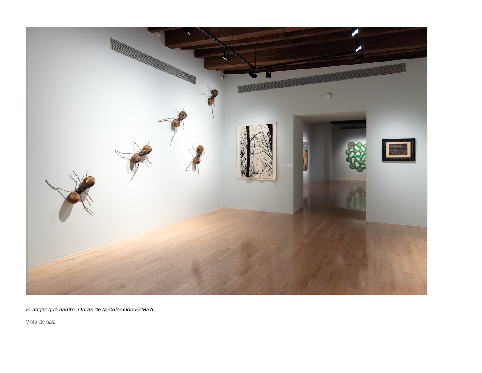 Vista de sala de la exposición El hogar que habito en el Museo Amparo